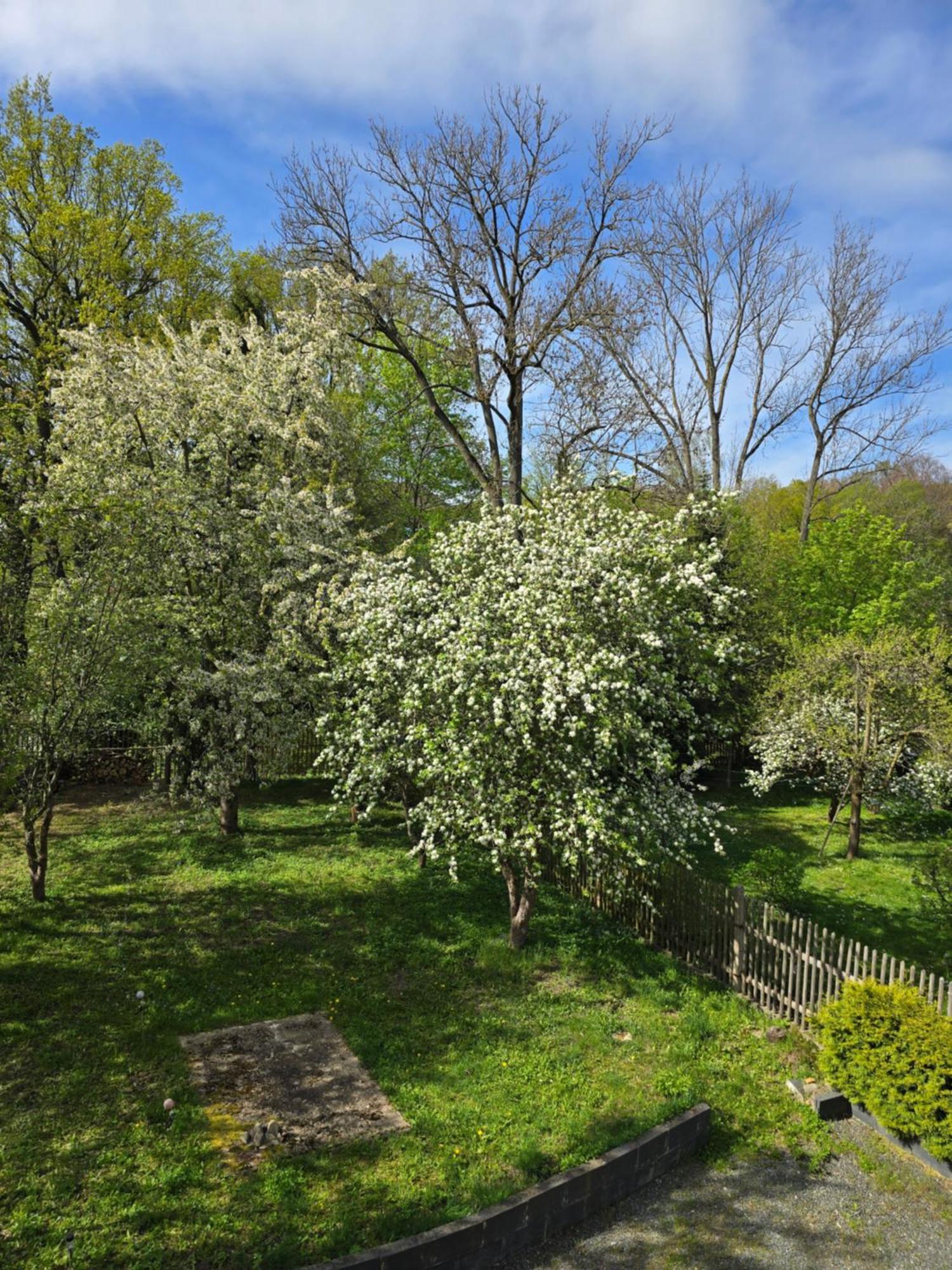 Villa Kuechwald Chemnitz Buitenkant foto