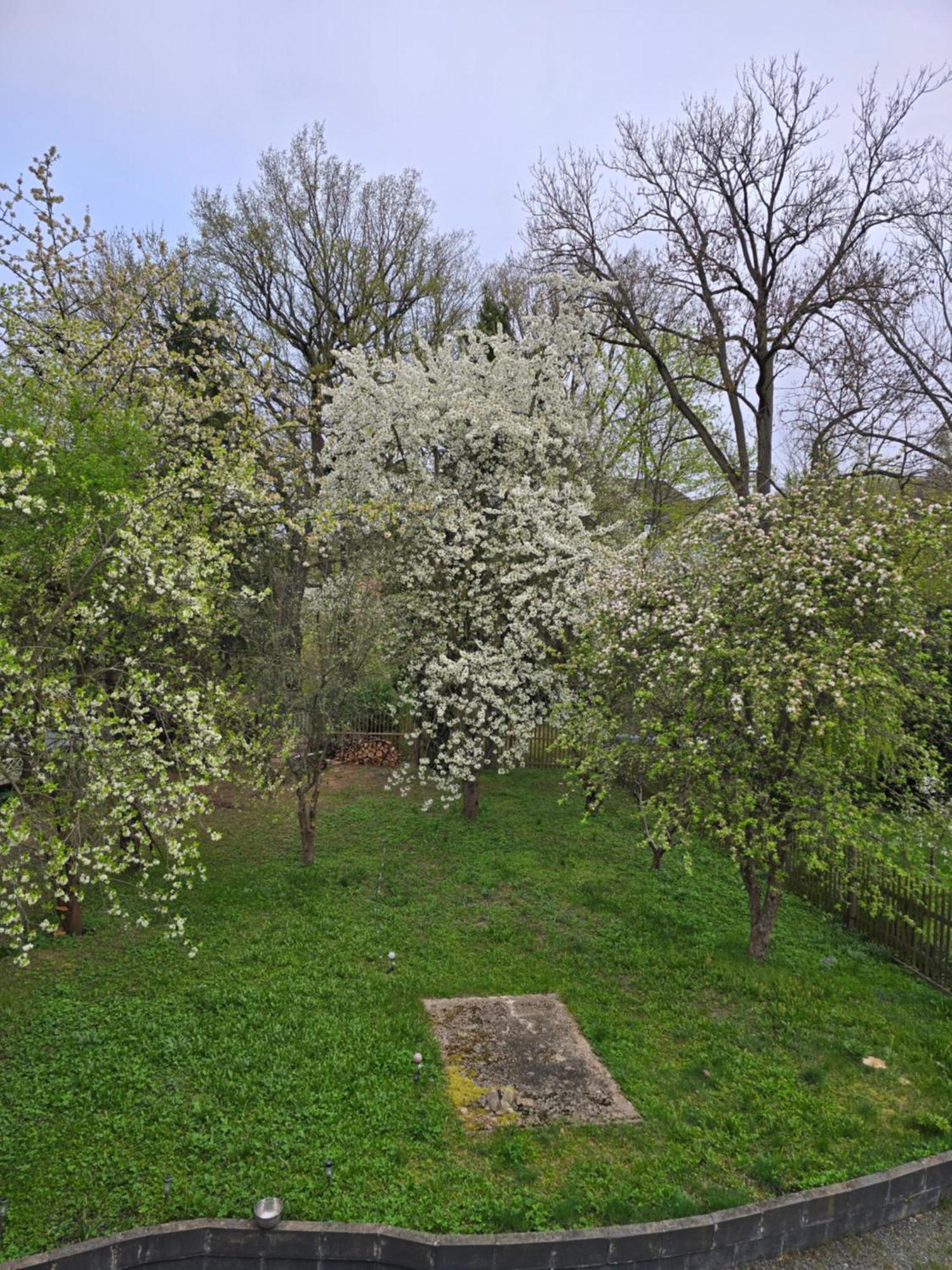 Villa Kuechwald Chemnitz Buitenkant foto