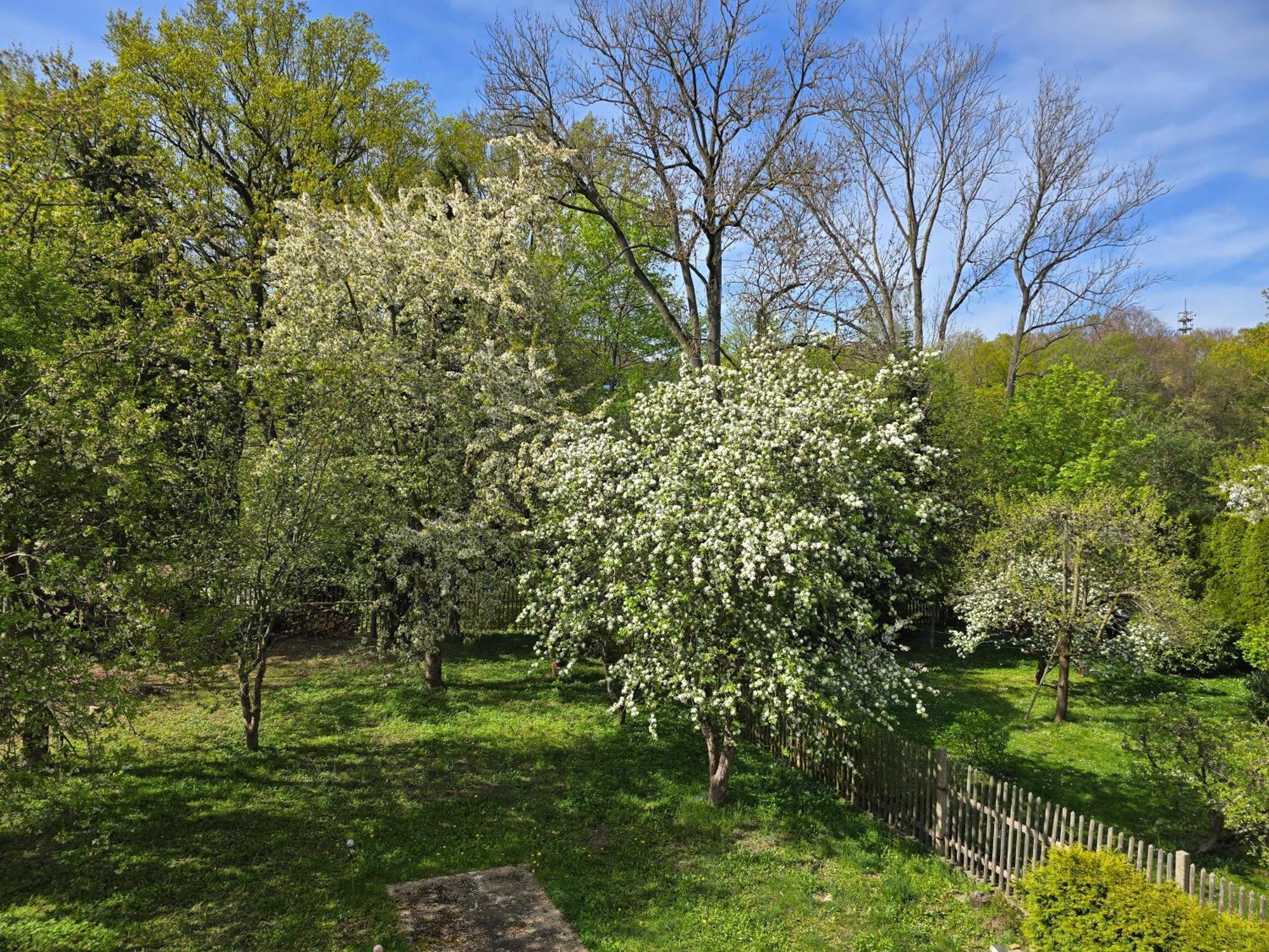 Villa Kuechwald Chemnitz Buitenkant foto