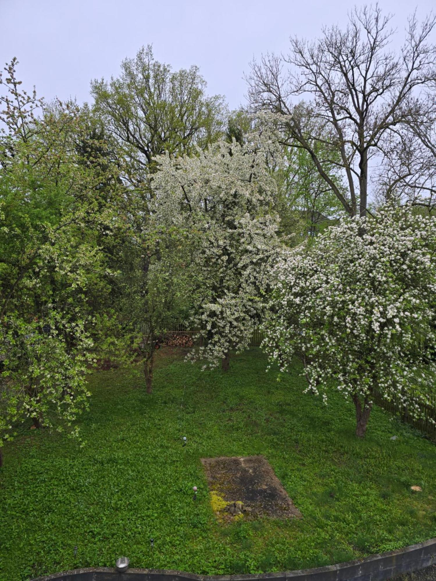 Villa Kuechwald Chemnitz Buitenkant foto